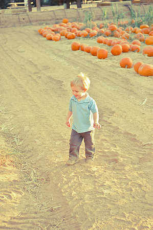 2011 Foskett Creative-1376