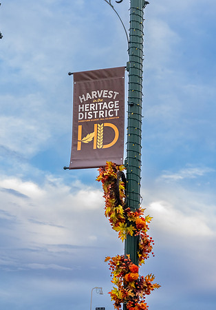 Foskett Creative 2024-5658