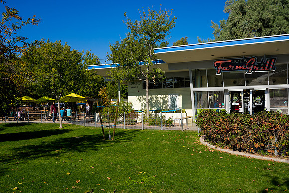 FoskettCreative-4