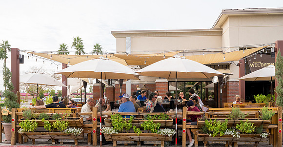 Wilderness Brewing