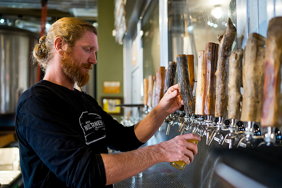 Wilderness Brewing