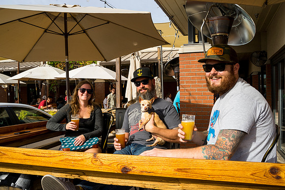 Wilderness Brewing