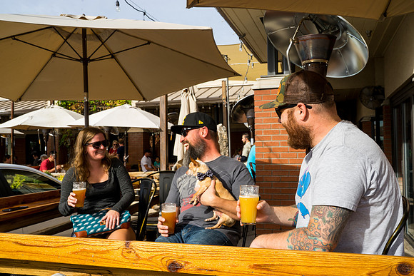 Wilderness Brewing