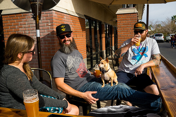 Wilderness Brewing