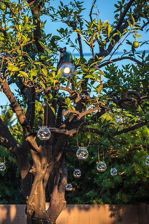 FoskettCreativePhotography-497
