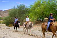 Ponderosa Stables-11