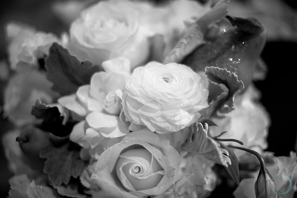 2012-12-8 FoskettCreative.com-354-4