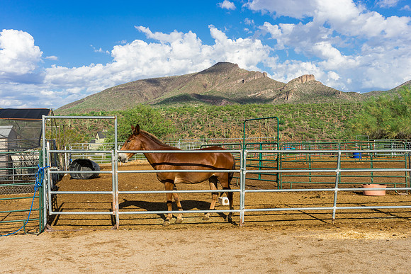 Spur Cross Stables-3-3
