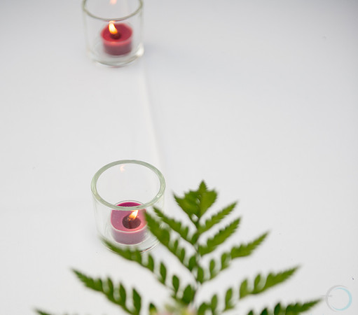 FoskettCreative.com2013-2--203