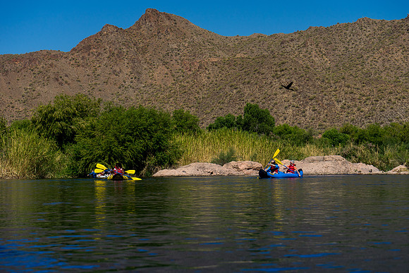 AOA Adventures~Kayaking-27