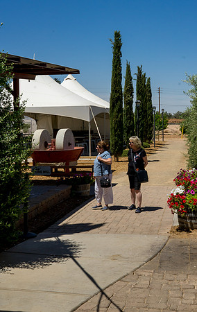 Queen Creek Olive Mill-7