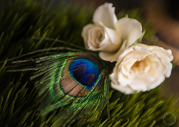 Foskett Creative-341