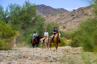 Ponderosa Stables-14