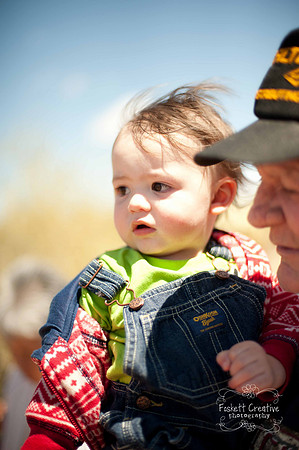 2011-4 Mesa CVB-2249
