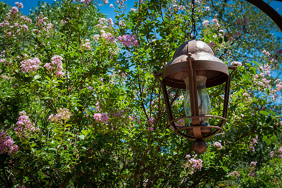 Foskett Creative Photography 2014-8-5-116