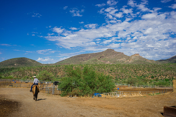 Spur Cross Stables-2-10