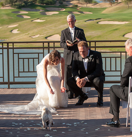 Foskett Creative Wedding Photography_-188