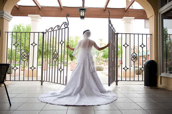 2011-3 Brad & Sarah's Wedding-1866