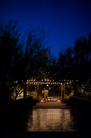 Desert Botanical Gardens