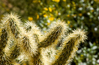2015-3-29  Foskett Creative-5