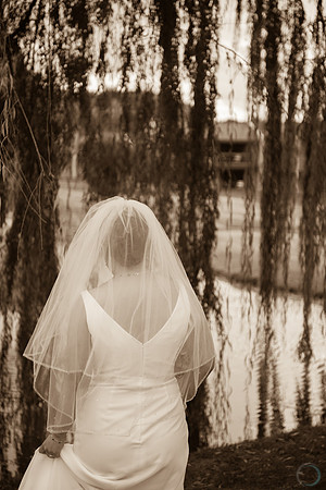 2012 Foskett Creative-9121