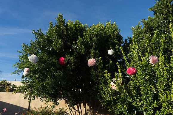 FoskettCreative-19