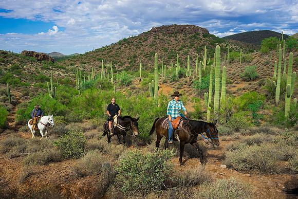 Spur Cross Stables-3-50