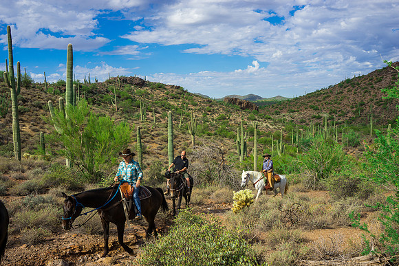 Spur Cross Stables-3-52