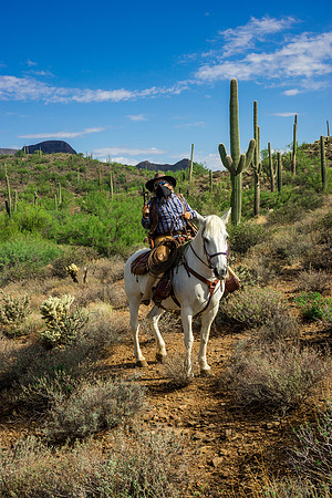 Spur Cross Stables-3-28