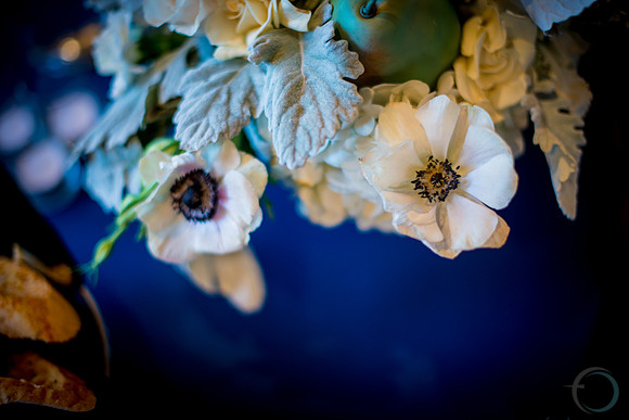 2012-12-8 FoskettCreative.com-350-4