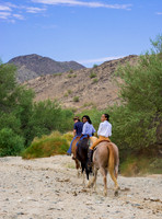 Ponderosa Stables-13