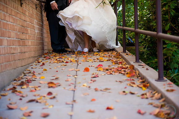 2012-12-8 FoskettCreative.com-412-3