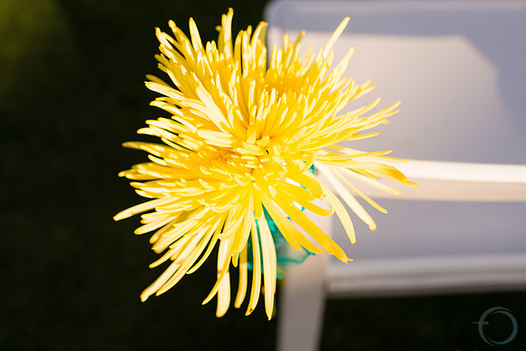 Foskettcreative.com-765
