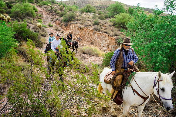 Spur Cross Stables-3-101