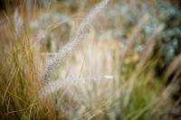 FoskettCreative.com-20