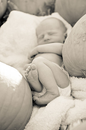 2011 Foskett Creative-1417