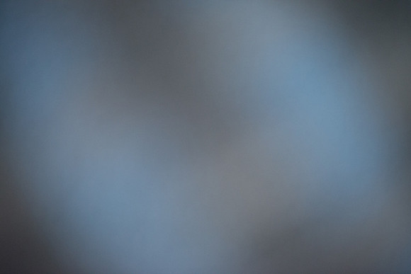 Foskett_September2014_image-1196