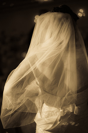 2011-3 Brad & Sarah's Wedding-2361