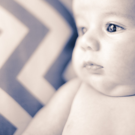 Foskett Creative Photography -183