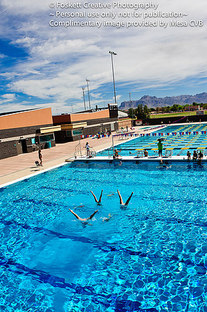 2011-4 Mesa CVB-2100