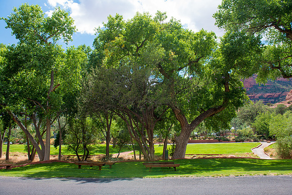 #Enchantment Resort #Encore Creative Weddings #WeddingKnoll  #FoskettCreative 201485-640