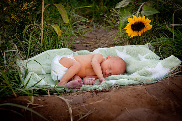 2011 Foskett Creative-1048