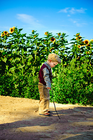 Schnepf Farms
