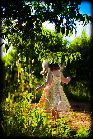 2010 Foskett Creative-406