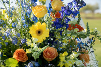 2015-4 Foskett Creative Photography-00378-2