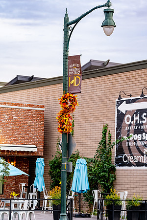 Foskett Creative 2024-5596