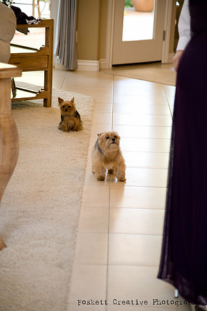2011-10 Tobin and Kristal-4084-2