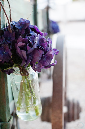 Foskett Creative-576-2