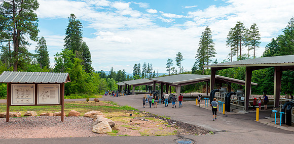 Tonto Creek Fish Hatchery-561