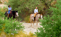 Ponderosa Stables-20